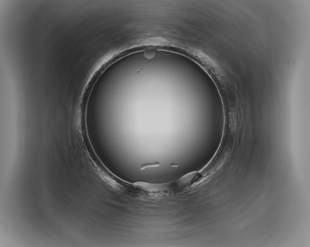 X0000116441326200912081548