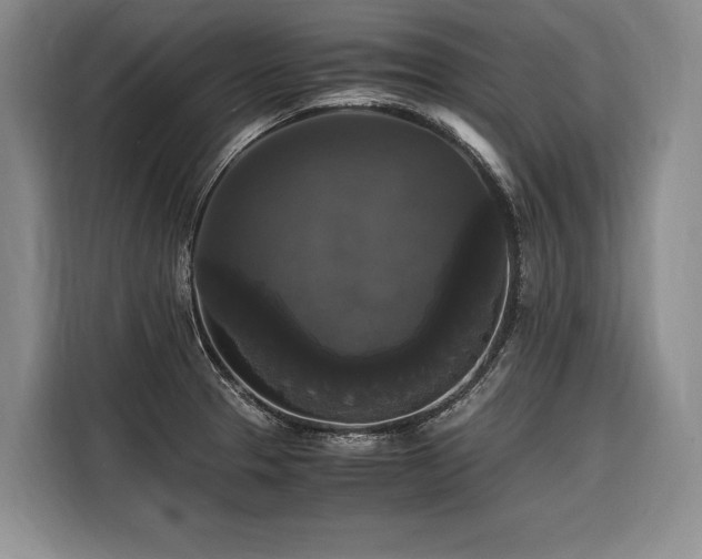 X0000116441329200912081548