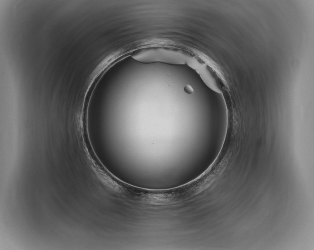 X0000116441330200912081548
