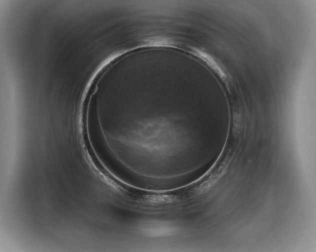 X0000116441331200912081548