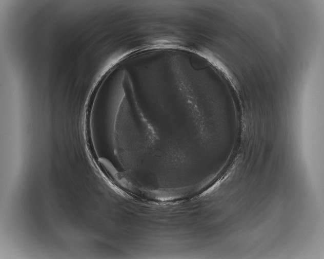 X0000116441333200912081549