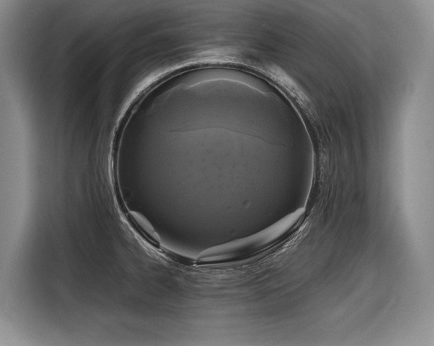 X0000116441334200912081549