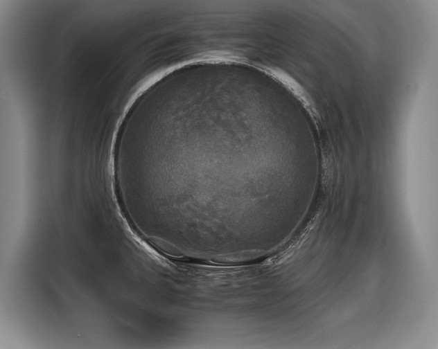 X0000116441335200912081549