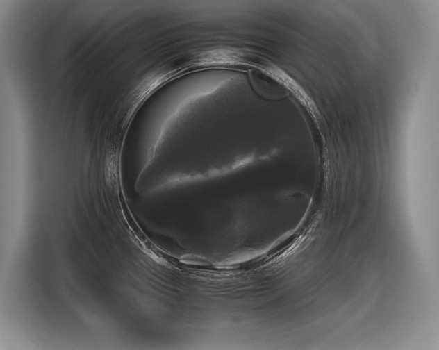 X0000116441337200912081549