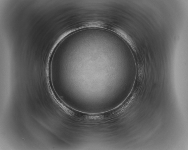 X0000116441339200912081549