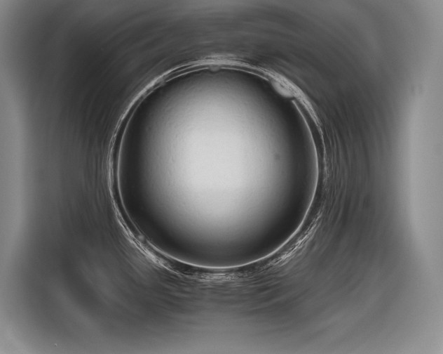 X0000116441341200912081549