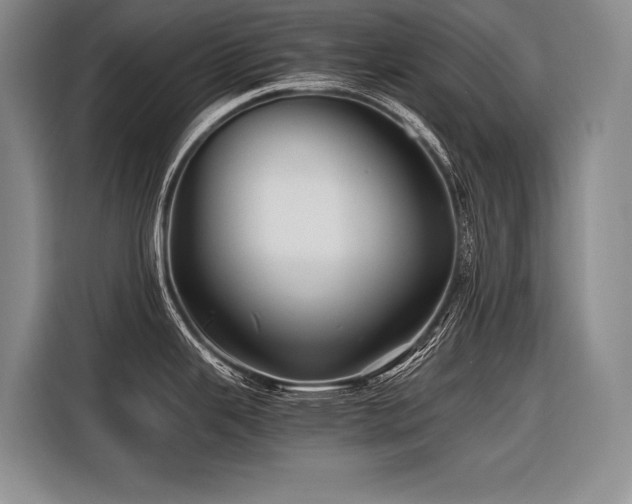 X0000116441343200912081549
