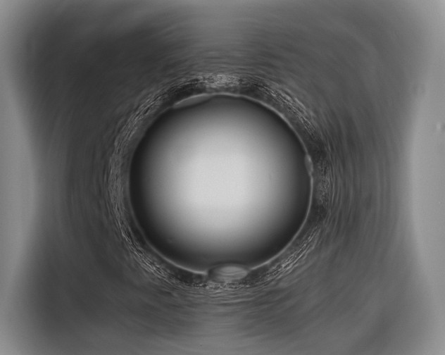 X0000116441345200912081548