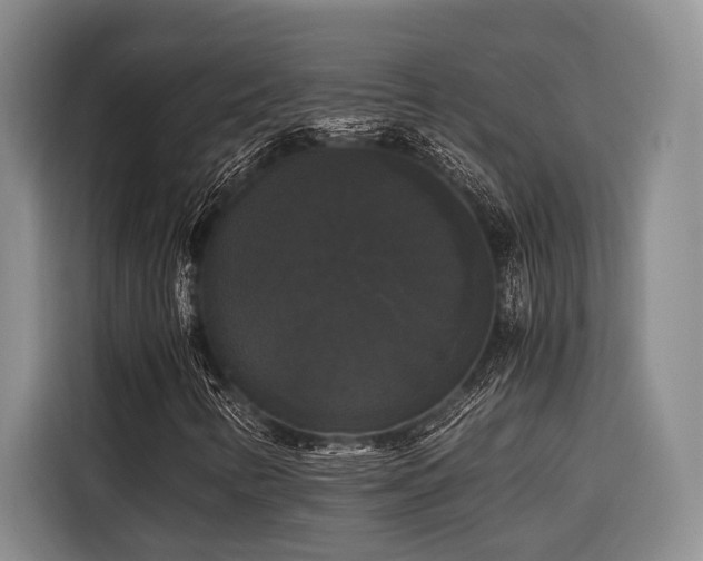 X0000116441346200912081548
