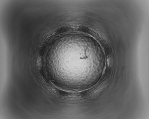 X0000116441347200912081548