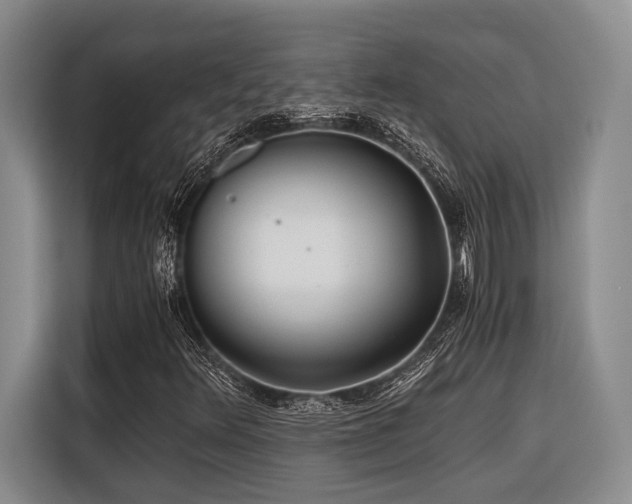 X0000116441348200912081548