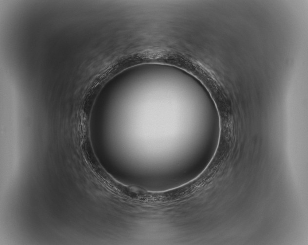 X0000116441349200912081548