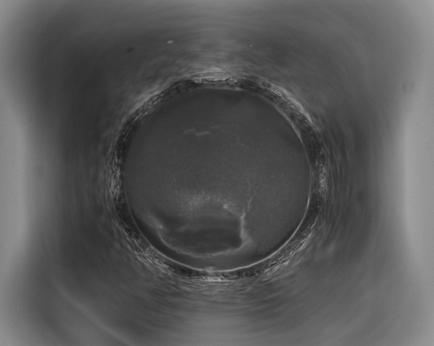 X0000116441350200912081548