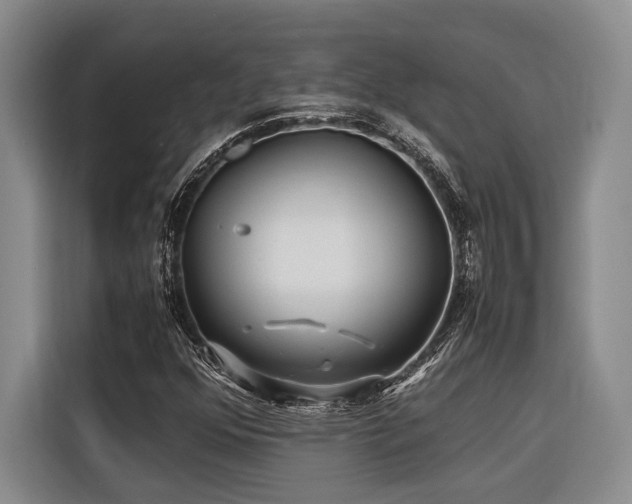 X0000116441352200912081548