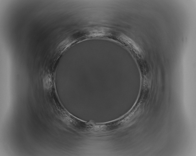 X0000116441353200912081548