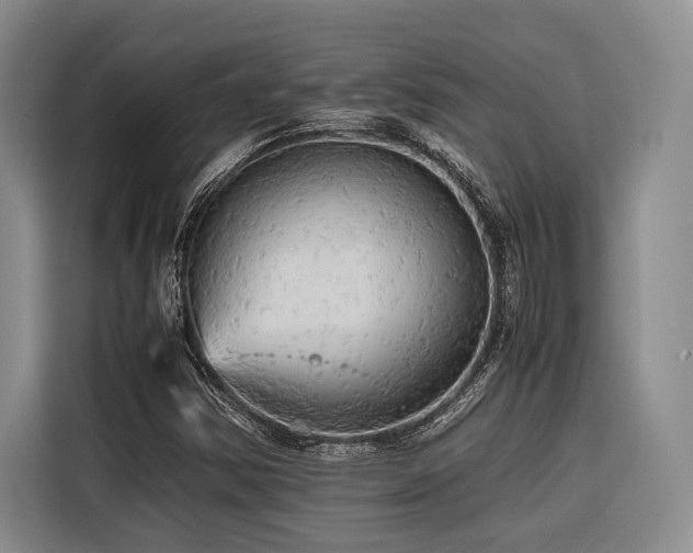 X0000116441354200912081548