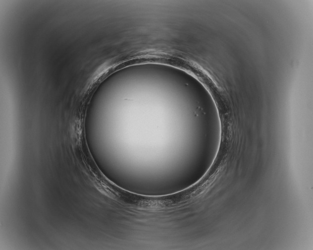 X0000116441355200912081548