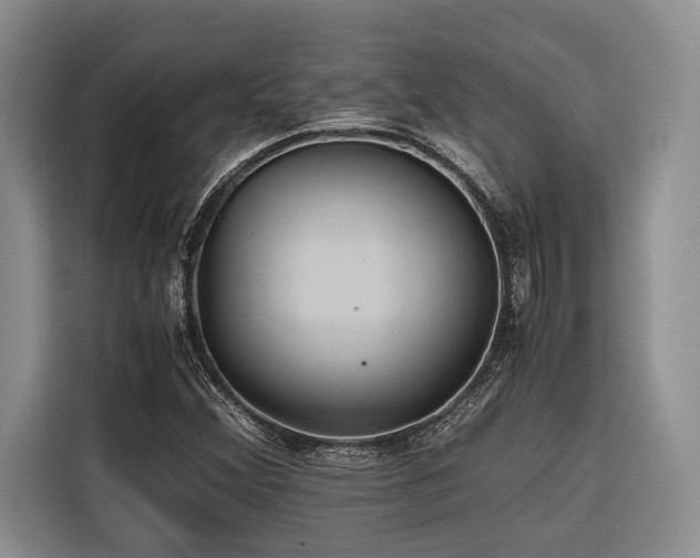 X0000116441356200912081548