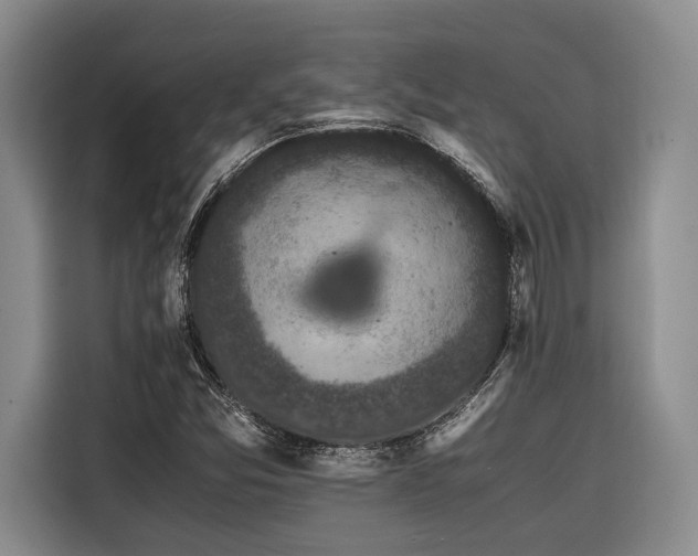 X0000116441357200912081548