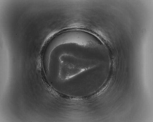 X0000116441358200912081548