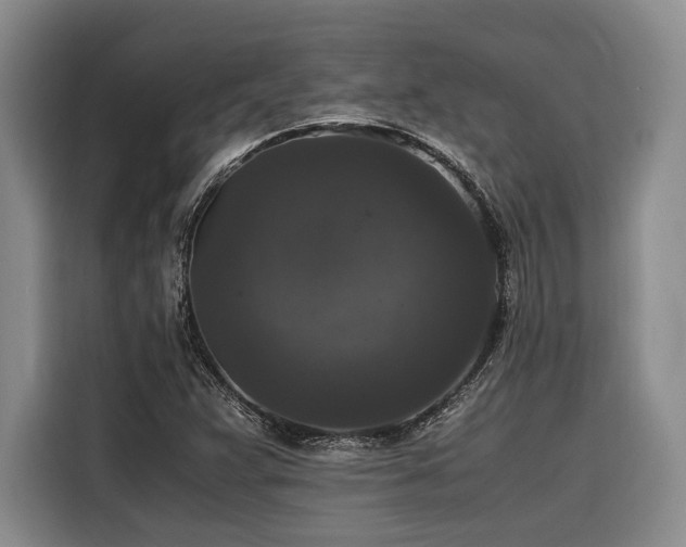 X0000116441359200912081548