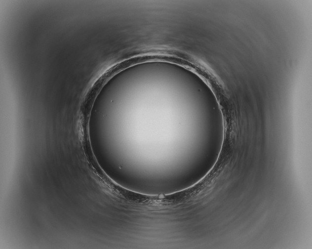 X0000116441360200912081548