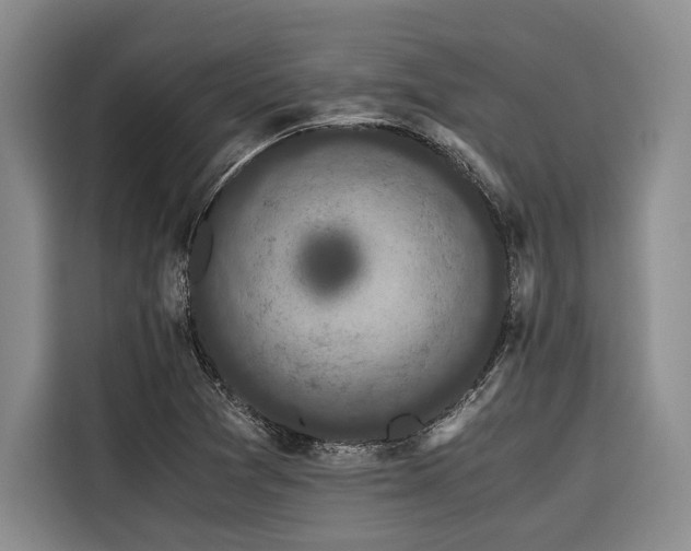 X0000116441361200912081548