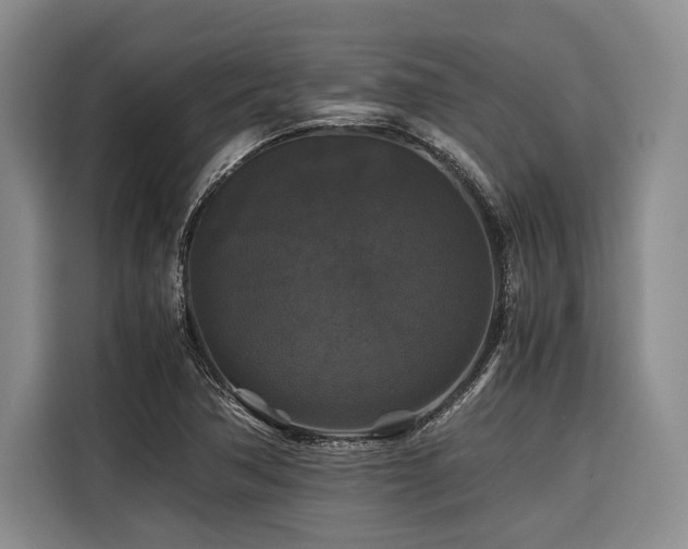 X0000116441362200912081548