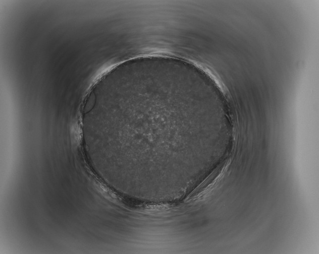 X0000116441363200912081548