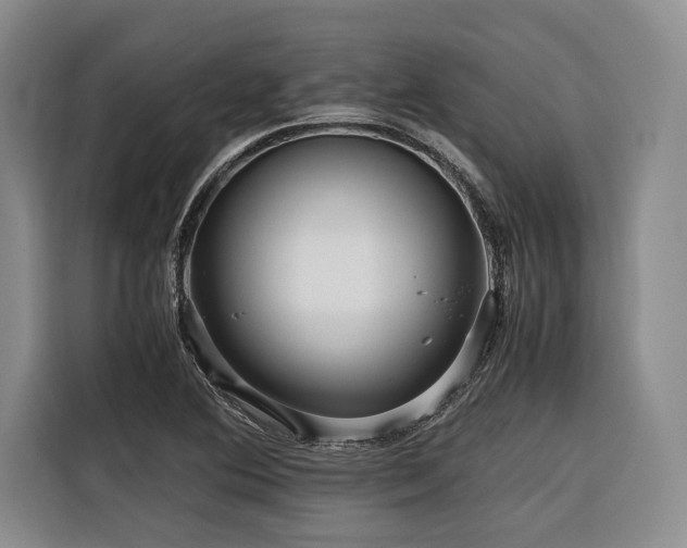 X0000116441364200912081548