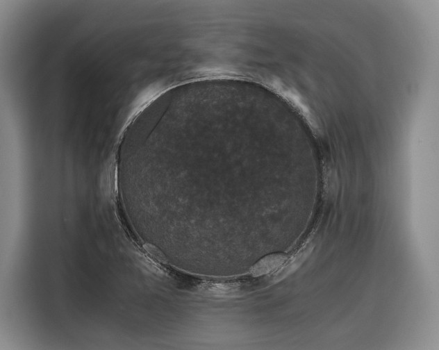 X0000116441365200912081548