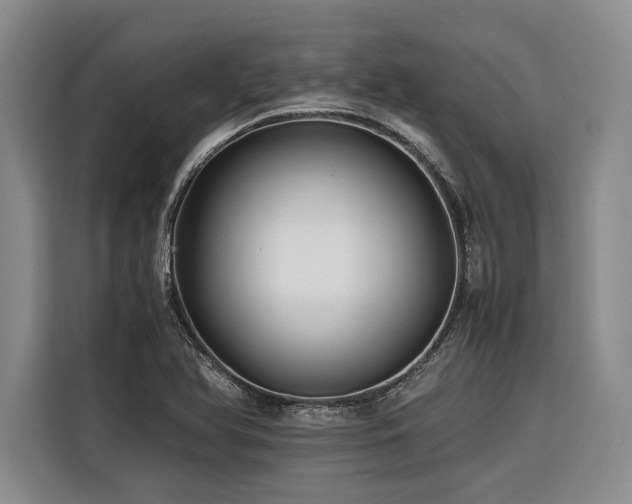 X0000116441366200912081548