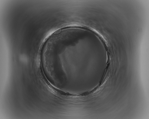 X0000116441367200912081548