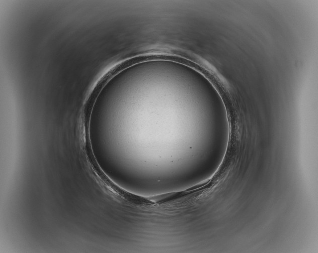 X0000116441368200912081548