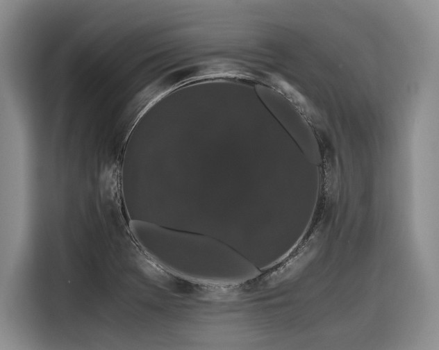 X0000116441369200912081548