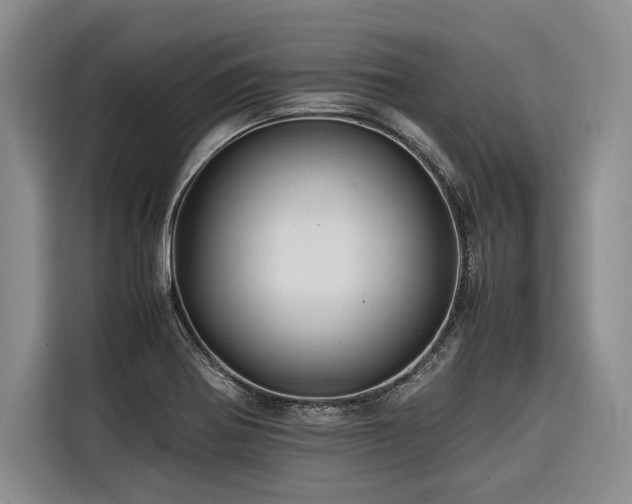X0000116441370200912081548