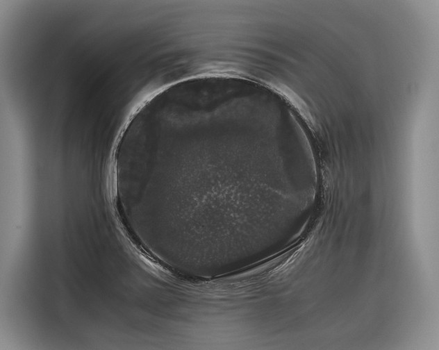 X0000116441371200912081548