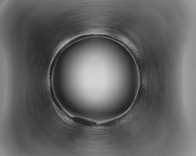 X0000116441372200912081548