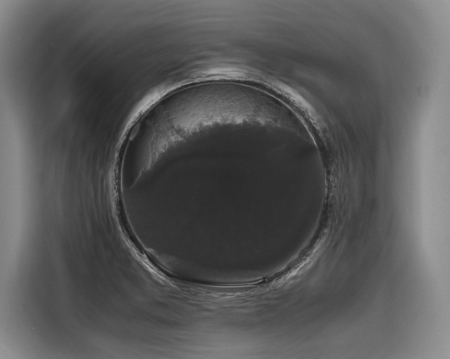 X0000116441373200912081548