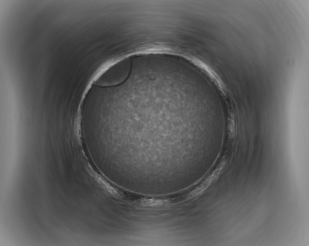 X0000116441374200912081548
