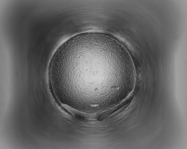 X0000116441375200912081548