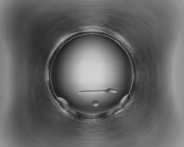 X0000116441376200912081548