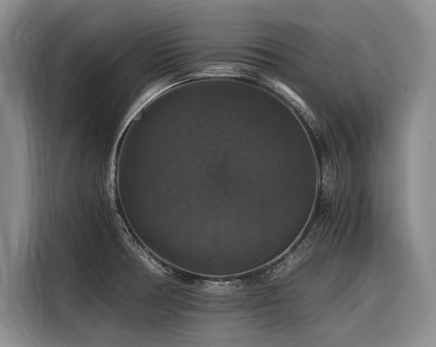 X0000116441378200912081548