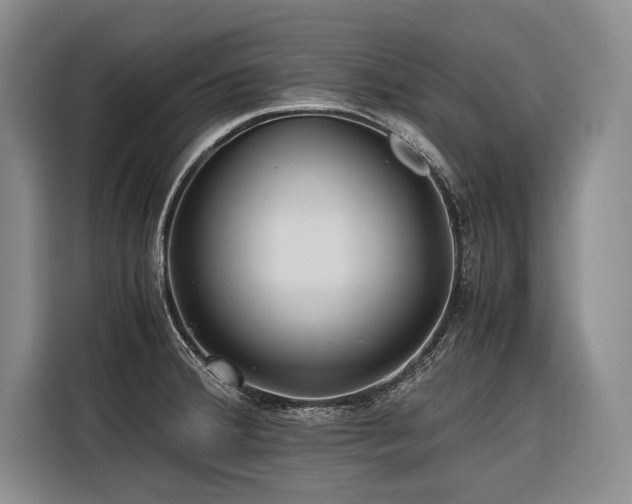 X0000116441380200912081548
