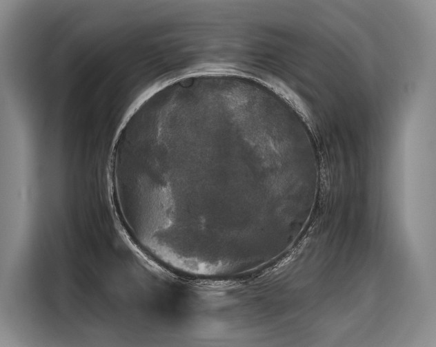 X0000116441382200912081548