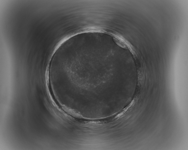 X0000116441383200912081548