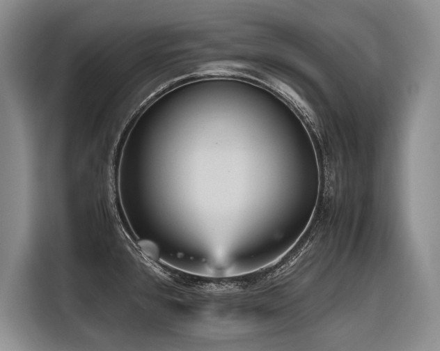 X0000116441384200912081548