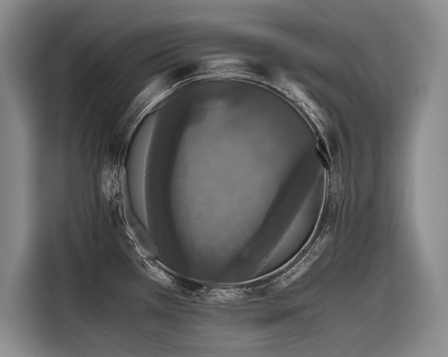 X0000116441385200912081548
