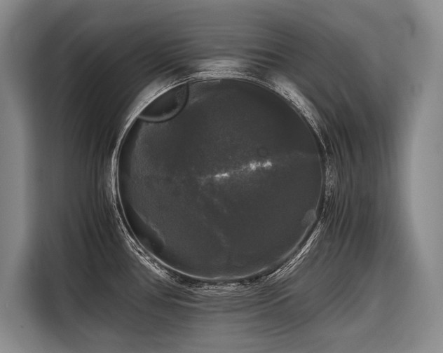 X0000116441386200912081547
