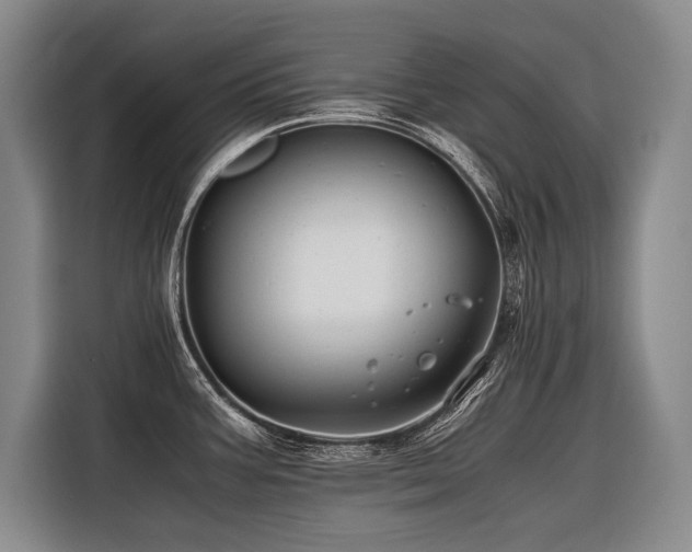 X0000116441387200912081547